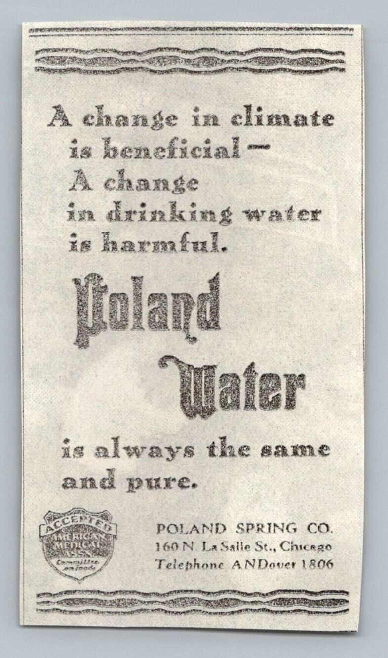 Vintage 1930s Poland Water Chicago Print Ad American Medical Association